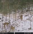 36 Us Hwy 119 - Photo 11