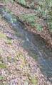 36 Us Hwy 119 - Photo 7
