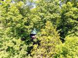 116 Cabin Drive - Photo 17
