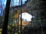 Tract 5 Dogwood Drive - Photo 13