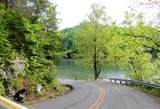 Tract 5 Dogwood Drive - Photo 15