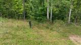 13.7 Acres Flatwoods Road - Photo 4