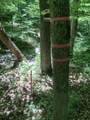 4100 Omega Park Road - Photo 10