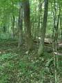 4100 Omega Park Road - Photo 11