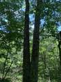 4100 Omega Park Road - Photo 16
