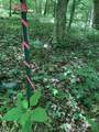 4100 Omega Park Road - Photo 18