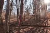4100 Omega Park Road - Photo 3