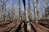 4100 Omega Park Road - Photo 5