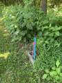 4100 Omega Park Road - Photo 7
