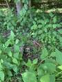 4100 Omega Park Road - Photo 8