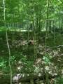 4100 Omega Park Road - Photo 9