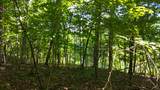 Tract 15 Buck Tail Drive - Photo 14