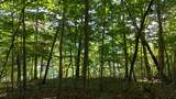 Tract 15 Buck Tail Drive - Photo 6