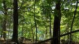 Tract 15 Buck Tail Drive - Photo 7