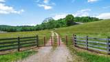 1490 Mule Shed Lane - Photo 3