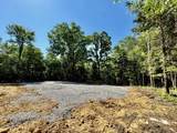 Lot 14 Buck Tail Drive - Photo 10