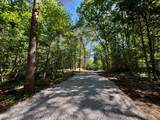 Lot 14 Buck Tail Drive - Photo 8
