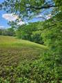 TBD Mount Zion Church Road - Photo 4