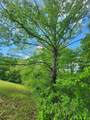 TBD Mount Zion Church Road - Photo 5