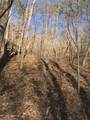 9999 Cave Branch Road - Photo 8