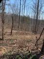 0000 Haney Branch Road - Photo 13