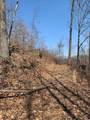 0000 Haney Branch Road - Photo 17