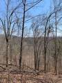 0000 Haney Branch Road - Photo 18