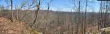 0000 Haney Branch Road - Photo 3