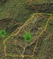 0000 Haney Branch Road - Photo 4