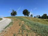 Tract 3 Pittsburg Landing Road - Photo 13