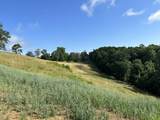 Tract 3 Pittsburg Landing Road - Photo 14