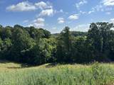 Tract 3 Pittsburg Landing Road - Photo 16