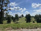 Tract 4 Turkey Landing Road - Photo 12