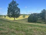Tract 4 Turkey Landing Road - Photo 15