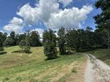 Tract 4 Turkey Landing Road - Photo 22