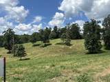 Tract 4 Turkey Landing Road - Photo 23