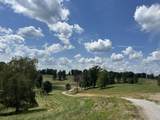 Tract 4 Turkey Landing Road - Photo 9