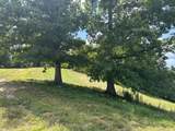 Tract 16 Pittsburg Landing Road - Photo 17