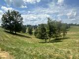 Tract 21 Pittsburg Landing Road - Photo 14
