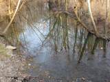 4090 Lexington Road - Photo 7