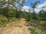 000 Seas Branch Road - Photo 7