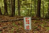 TBD Lot 19 Sandy Ridge Road - Photo 16