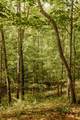 TBD Lot 19 Sandy Ridge Road - Photo 18