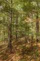 TBD Lot 19 Sandy Ridge Road - Photo 3
