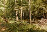 TBD Lot 33 Sandy Ridge Road - Photo 2
