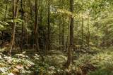TBD Lot 33 Sandy Ridge Road - Photo 4