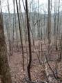 0 South Fork Road - Photo 11
