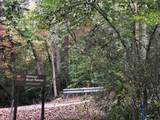 Lot #8 Buck Creek Circle - Photo 4