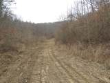 0000 Catron Branch Road - Photo 1