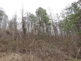 0000 Catron Branch Road - Photo 11